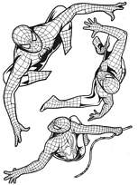 coloriage spiderman dans plusieurs postures